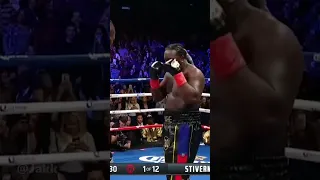 Deontay Wilder Knockout Destruction Of Bermane Stiverne