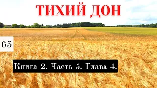 «Тихий Дон» / Подробный пересказ / Книга 2. Часть 5. Глава 4.