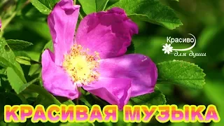 ЭТУ МУЗЫКУ МОЖНО СЛУШАТЬ ВЕЧНО! Потрясающая, самая красивая музыка на свете !!!