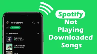 Fixes to Spotify Not Playing Downloaded Songs | Tunelf
