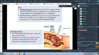 Fetal membranes - Dr.Ahmed Farid