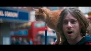 A Street Cat Named Bob | Trailer | Out Now