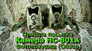 Пришла посылка с Алиэкспресс 2 Камеры HC-801A Фотоловушка Обзор.