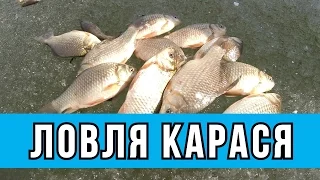 Ловля карася Лебеди Журавли