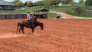 2021 NRBC Derby Preparation