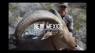 NM Barbary Sheep Hunt 2022