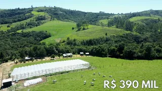 CHÁCARA COM CASA ESTUFA FRUTAS PASTO INTERNET INSTALADA E ÁGUA R$ 390 MIL-Código:2384