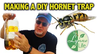 Making a diy hornet trap