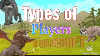Types of Players in WildCraft!! | Funny