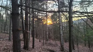 2022 PA Deer Season. Self Filmed. Deer Down!!!