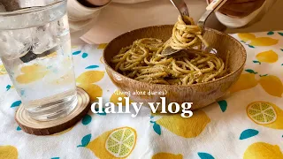 Days in my life🍝 | living alone | life as an introvert in Wales | pesto pasta, choc cookies🍪