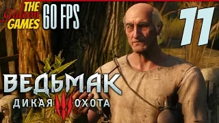 Прохождение Witcher 3 на Русском (Ведьмак 3)[PС|60fps] - Часть 11 (В поисках ведьмы)