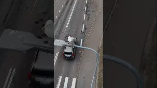 Seagull chilling on a street light #shorts #birds #dji #drone #mavic3classic