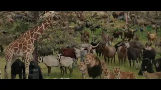 Evan Almighty - Building The Ark As A Family