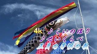 4ｋ ♫こいのぼり♫せいくらべ  五月のこどものうた。歌詞付き　童謡唱歌