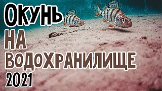 Окунь Зимой 2021...Едем на Ириклинское Водохранилище... Зимняя Рыбалка На Мормышку...