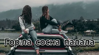 Весільний вальс - Горіла сосна палала