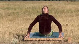 Perk Up Your Posture · Desk Warrior Yoga