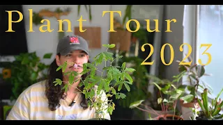 🌿 Plant Tour 2023 🌿 | First ever view of my entire collection! 🌵