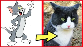 Meet Tom and Jerry Characters in IN REAL LIFE 2024 👍🏻 @botobototv