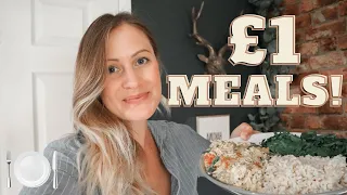 ALDI MEALS OF THE WEEK! EASY, UNDER £1, QUICK, BUDGET FRIENDLY MEAL IDEAS. LARA JOANNA JARVIS 2020.