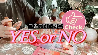 그 질문에 대한 모든 답 → YES or NO 🔮 타임리스 사이킥 타로 리딩 𓂀✴︎