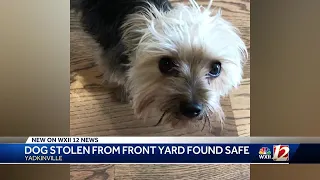 Lost Yorkie found safe, returned to its owners