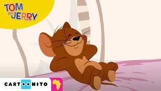 Tom and Jerry: New Bed | Cartoonito Africa