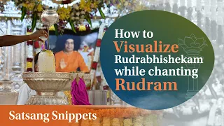 How to Visualize Rudrabhishekam While Chanting Rudram | Satsang Snippets | Prasanthi Nilayam