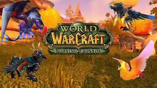 Retail Burning Crusade Mount Guide -  How To Get All Easy, Dungeon, & Raid Mounts