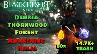 BDO |  Dehkia Thornwood Forest | Awakening Ninja | 14.7k+ Trash/HR Lv.2 | Addons/Crystals  (10 Min)