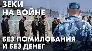 Пригожин и Шойгу создали из зеков новый социальный класс: ни военные, ни заключённые, ни бойцы ЧВК