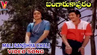 MALI SANDHYA CHALI VIDEO SONG | BANGARU KAPURAM | KRISHNA | JAYASUDHA | JAYAPRADHA | V9 VIDEOS