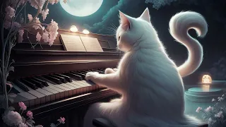 【Relaxing Piano】Lo-Fi Cat - White cat in flower garden #lofi  #cafemusic #piano