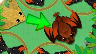 Mope.io | How I got KingStan in a mope KingDragon tournament event