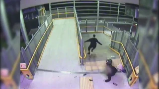 Video captures moment woman is robbed at train station