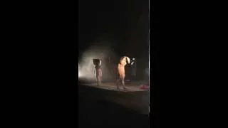 Sia Cries at Red Rocks Amphitheatre - Titanium