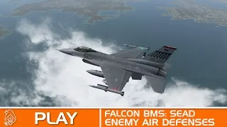 Falcon BMS Mission 4: SEAD