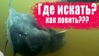 ВСЁ ПРО КАНАЛЬНОГО (АМЕРИКАНСКОГО) СОМИКА!!! ГДЕ ИСКАТЬ? КАК ЛОВИТЬ? ЧТО ПРИГОТОВИТЬ?