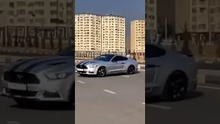 MUSTANG IN DUSHANBE