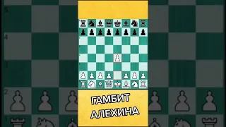 Гамбит Алехина - мощное дебютное оружие! #shorts