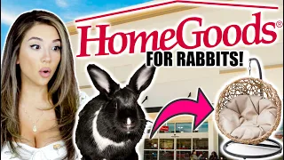 Things You Can Buy at HOMEGOODS for RABBITS!