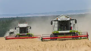 3x Combine Havester | Claas Lexion 560, 550, 540c | Harvest barley