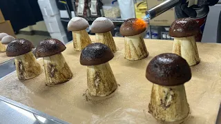 Is the cake quality real? Making truffle mushroom mousse cake