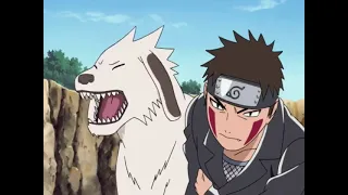 Kakashi’s hounds train kiba and akamaru