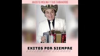 Aniceto Molina - El Diario De Un Borracho