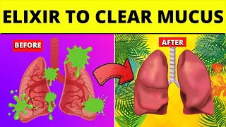 Drink This POWERFUL ELIXIR To Clear Mucus In Lungs Chest & Sinus | Personal Health Care