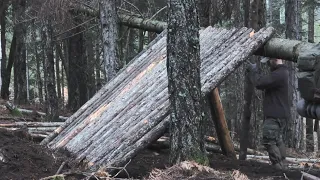 Primitive technology  Building A frame shelter  in the wilderness with my dog Bonny Axe Saw  Cooking