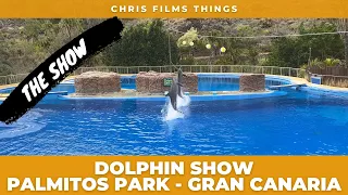 Dolphin Show at Palmitos Park - Gran Canaria