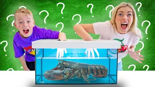 EXTREME What's in The Box Underwater Challenge - with Animals! *Very Funny